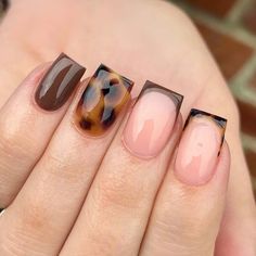 Square nails featuring brown and tortoise shell patterns offer a trendy and sophisticated look. Click to see more and elevate your nail game!@xnailsbypoppy Short Nails Ideas Fall Winter, Short Square October Nails, Square Nail Designs Autumn, Fall Nails Shorties, Fall Nail Inspo Short Simple, Cute Short Square Nails Winter, Short Square Croc Nails, Fall Mani And Pedi Combos, Short Autumn Nails Square