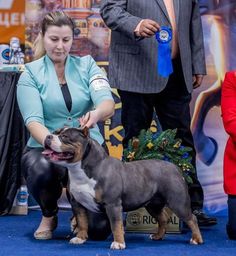 a woman kneeling down next to a small dog on a blue carpet with other people standing behind her