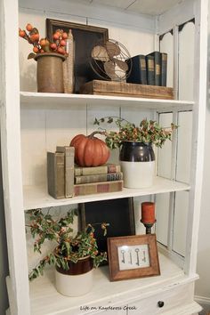 a white book shelf filled with books and plants