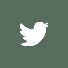 the twitter logo is shown in white on a dark green background, with an arrow pointing up