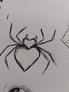 a drawing of a spider with a heart on it's back and eye lashes