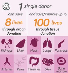 World Organ Donation Day Creative Poster, World Organ Donation Day, Donation Ideas