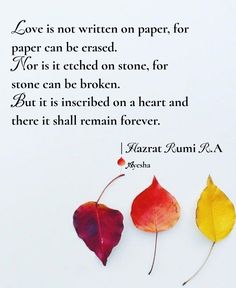 two autumn leaves with the quote love is not written on paper, for paper can be erase