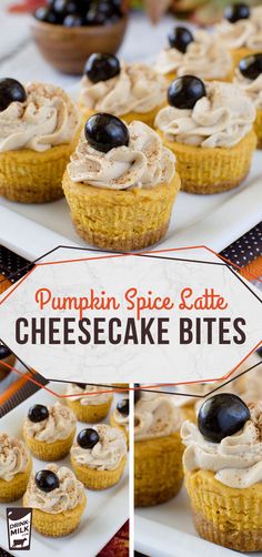 pumpkin spice latte cheesecake bites with black olives and whipped cream on top