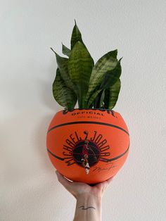 a hand holding an orange basketball with a plant in it's center, against a white wall