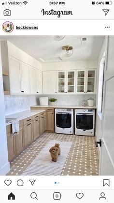 a dog is sitting in the middle of a kitchen with white cabinets and brown flooring