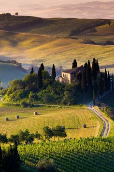 the rolling hills are dotted with trees and grass