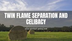 hay bales in a field with the words twin flame separation and gelibacy