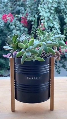 there is a potted plant with succulents in it