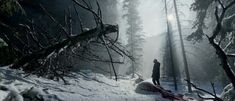 a person walking through the woods on a snowy day