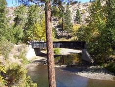 a bridge over a river surrounded by trees