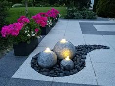 some rocks and flowers in the middle of a walkway with lights on them, surrounded by potted plants