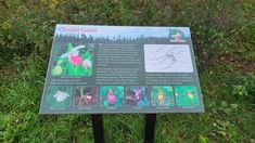 a sign describing the different types of plants and flowers on display in a field with tall grass