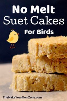 no melt sheet cakes for birds are stacked on top of each other with the words, no melt sheet cakes for birds