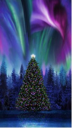 a christmas tree is lit up in front of the aurora bores and northern lights