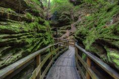 a wooden walkway in the middle of a forest with moss growing on rocks and trees