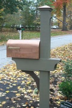 a mailbox sitting in the middle of a leaf covered yard next to a street