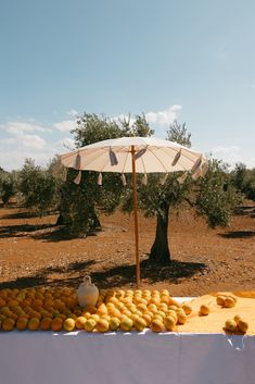 an umbrella and some oranges on a table