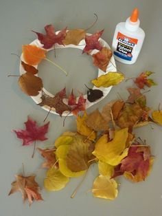 a plate with leaves and glue sitting on top of it