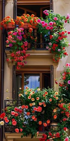 colorful flowers are growing on the windowsills in front of an apartment building's balconies