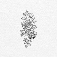 a black and white drawing of roses on paper