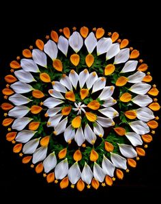 an overhead view of white and orange tulips in a circular pattern on a black background