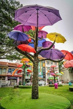 colorful umbrellas hanging from the top of a tree