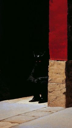 a black cat sitting on the ground next to a red wall