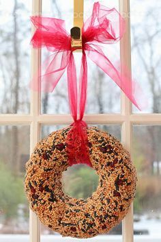 a bird seed wreath hanging on a window sill in front of a winter scene