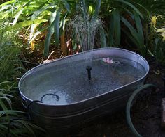 a metal tub filled with water surrounded by plants