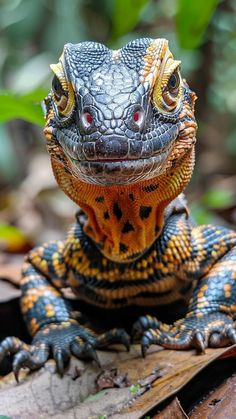 an orange and black lizard sitting on top of a leaf covered ground next to green leaves