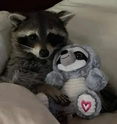 a raccoon is sitting next to a stuffed animal with a heart on it