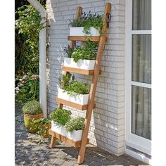 a wooden ladder with plants growing on the side of it and potted plants in front