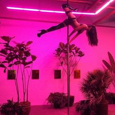 a pole dancer is performing in front of pink lights and potted plants on the floor