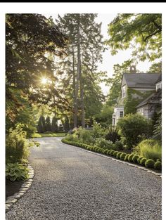 a gravel road leading to a house surrounded by trees and shrubs with the sun shining through the trees