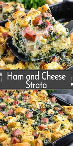 ham and cheese strata casserole with spinach