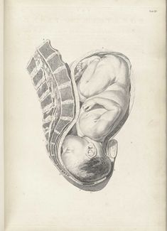 a drawing of a baby laying on top of its mother's stomach and holding the infant