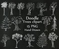 doodle trees clipart 15 png hand drawn on blackboard with white chalk