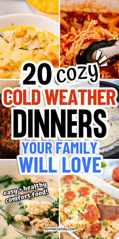 Cold weather recipes for dinner (easy and simple comfort foods)