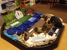 a display in a classroom filled with pine cones and other items on a tray that is sitting on a table