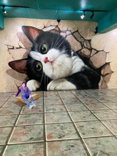 a black and white cat laying on top of a tiled floor next to a wall