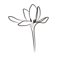 a black and white drawing of a flower