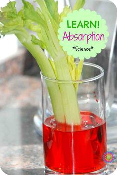 a glass filled with red liquid and celery sticks