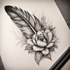 a pencil drawing of a feather and flower