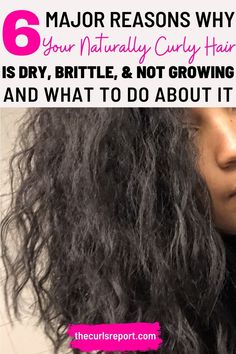 These are the most common reasons why your naturally curly hair is not growing + what you can do to encourage hair growth. These are great curly hair tips for girls with hair types 2, 3, and 4. Hair Shrinkage