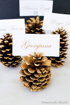 three pine cones with place cards on them