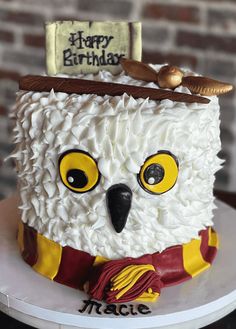 a birthday cake with an owl's head and name on the top is decorated in white frosting