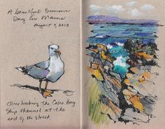 a drawing of a seagull sitting on top of a rock next to the ocean