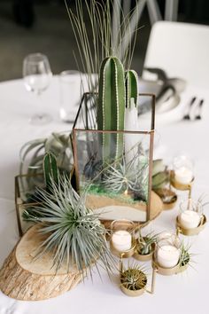 an arrangement of succulents and candles on a table