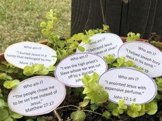 four white plates with words on them sitting in a planter filled with green leaves